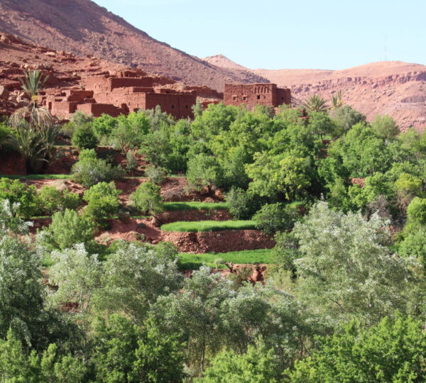 Best Time to Visit Morocco - Fall in Morocco Golden Light & Travel Sweet Spot